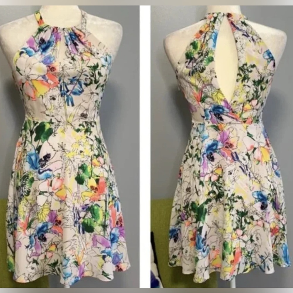 Express Beautiful Colorful Print Halter Sundress Fit and Flare